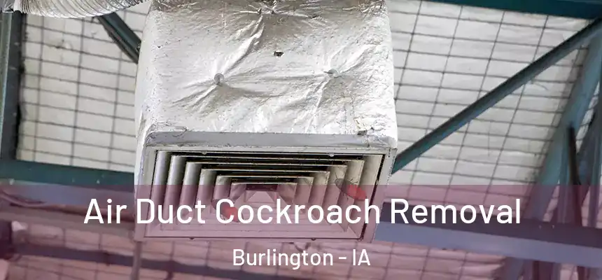  Air Duct Cockroach Removal Burlington - IA
