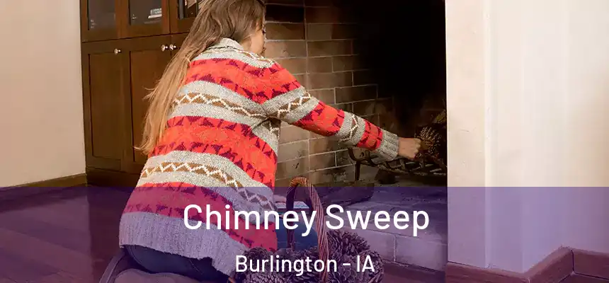Chimney Sweep Burlington - IA