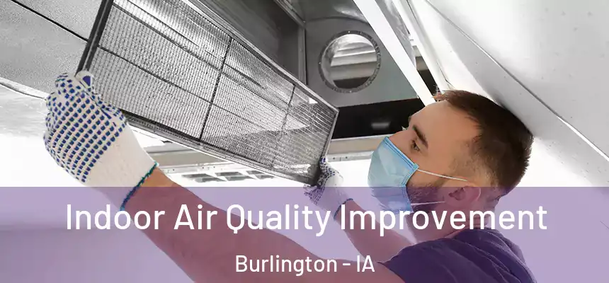  Indoor Air Quality Improvement Burlington - IA