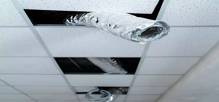 Our Air Duct Pet Hair Removal Services in Burlington, IA