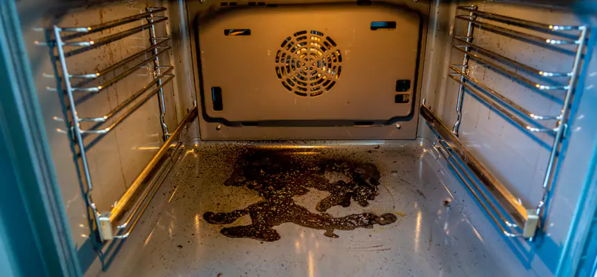 Our Dryer Vent Mold Cleaning Services in Burlington, IA