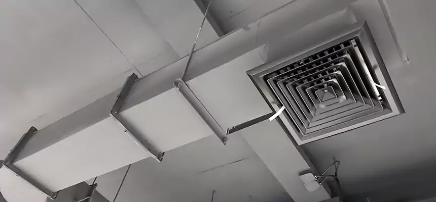 Our Pest Removal From Ducts Services in Burlington, IA