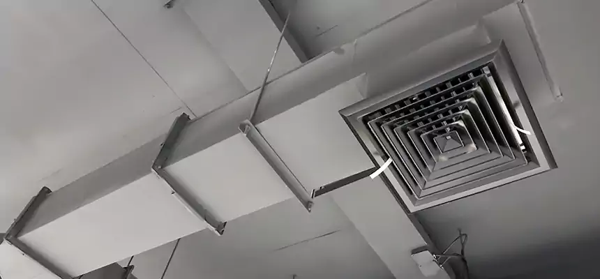 Our Rodent Droppings In Vents Services in Burlington, IA