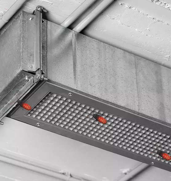About Air Duct Cockroach Removal in Burlington, IA