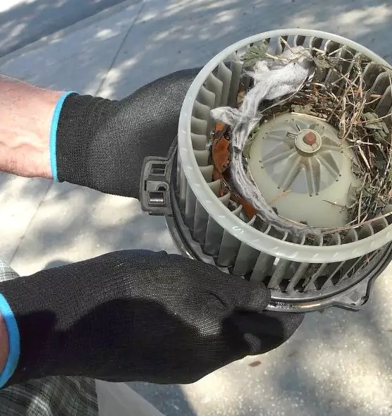 About Air Duct Rat Removal in Burlington, IA