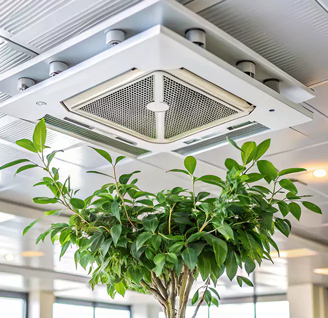 Why Homeowners & Businesses Trust Us in Burlington, IA?