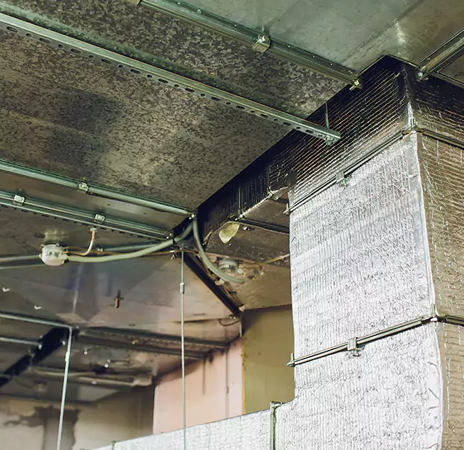 Why Homeowners & Businesses Trust Us in Burlington, IA?